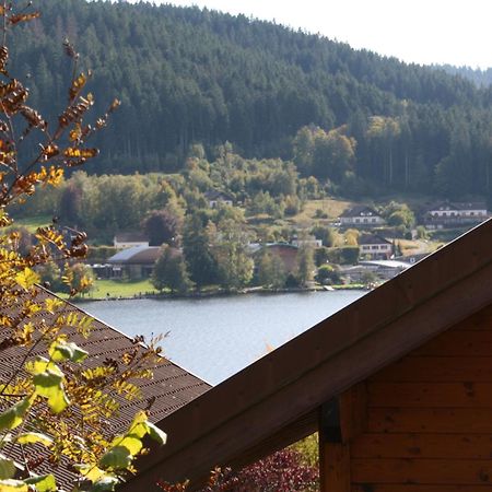 Chalet Vosgien Gérardmer Extérieur photo